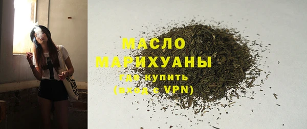 прущий лед Дмитриев