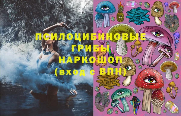 альфа пвп Дмитровск