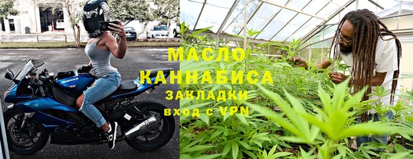 прущие крисы Ельня