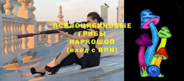альфа пвп Дмитровск