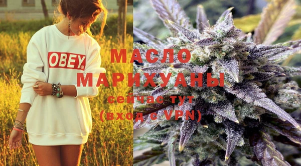 прущие крисы Ельня