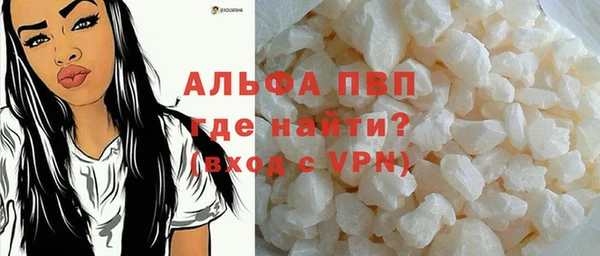 прущий лед Дмитриев