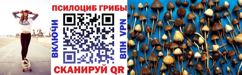 маркетплейс формула  купить   Чита  Псилоцибиновые грибы Psilocybine cubensis 