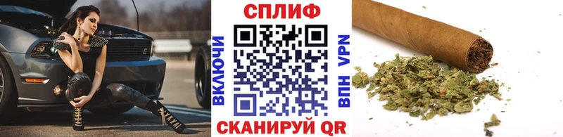 Бошки Шишки Amnesia  Чита 